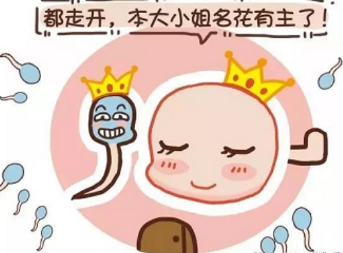 淄博中西医结合医院借卵试管生男孩费用解析与成功率探讨